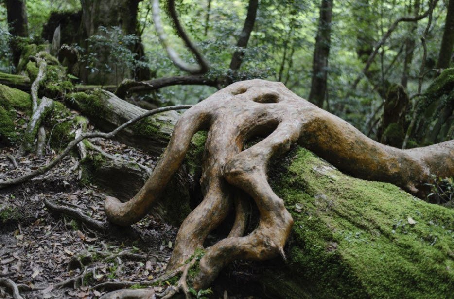 Yakushima